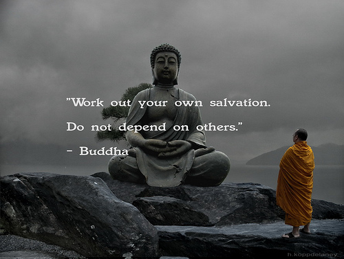 8028950810 buddha quote 23